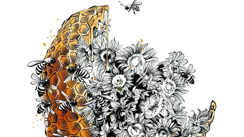 İllustrasyon: Cemile Ağaç Yıldırım.