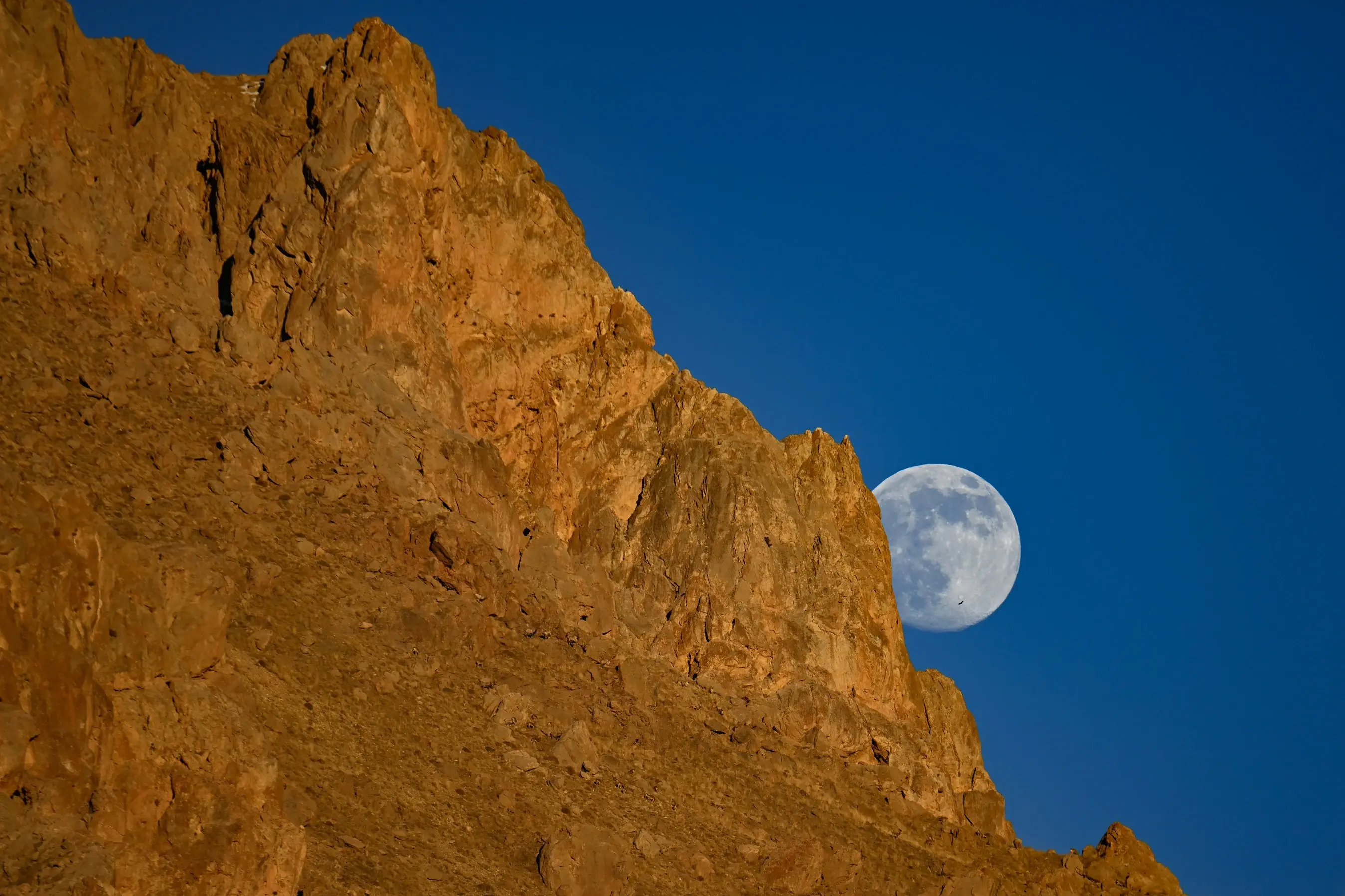 Wild goats silhouette against full moon on Türkiye's Mount Erek