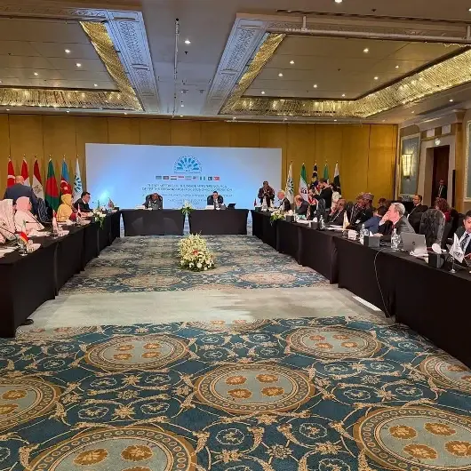Страны D-8 приняли Каирскую декларацию о торговом сотрудничестве