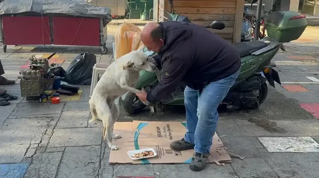 Zonguldak’ta engelleri aşan hikaye: Ön bacağı kesilen köpeğine bebek gibi bakıyor