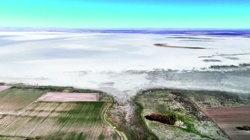 Bir zamanlar kuş cennetiydi: Seyfe Gölü tamamen kurudu