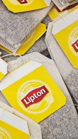 Lipton tea production halts in Türkiye 