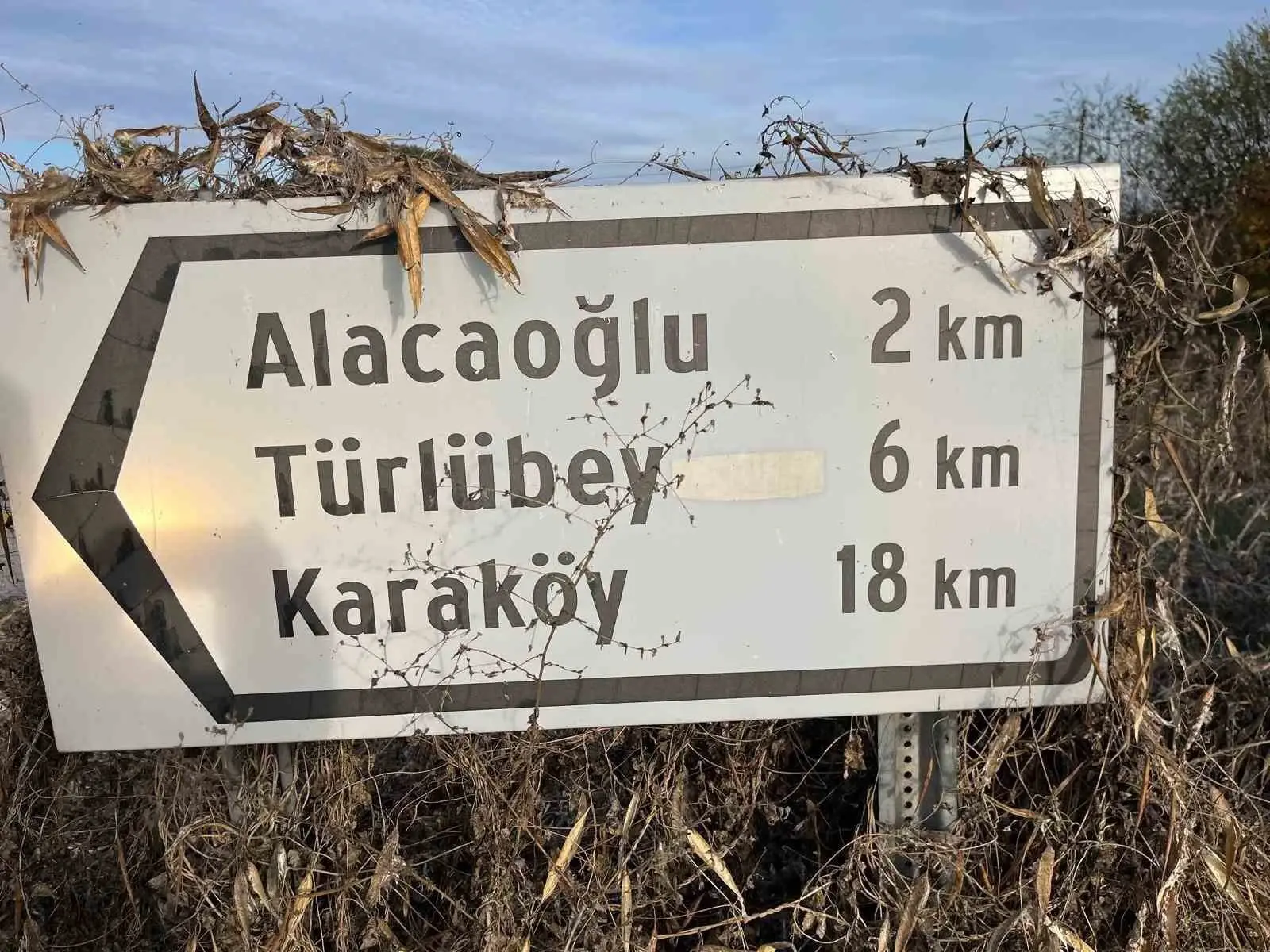 Bu işte bir terslik var! Matematiğe meydan okuyan köy viral oldu: Bu kez ne Rize ne de Trabzon!