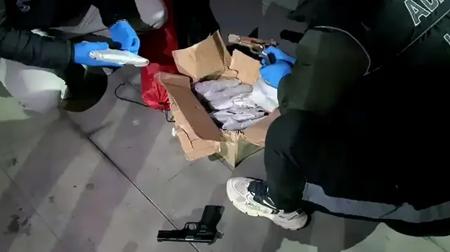 Adana'da ruhsatsız 53 tabanca ele geçirildi: 2 zanlı tutuklandı