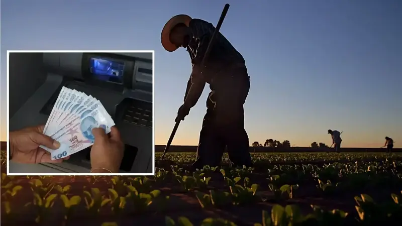 Ödemeler bugün çiftçilerin hesaplarına yatıyor: İşte ayrıntılar