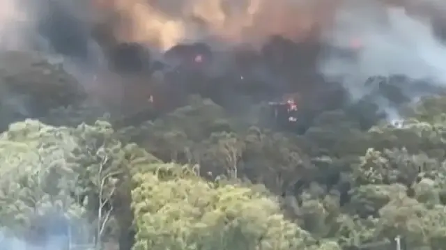 Avustralya başlayan orman yangınları hızla yayılıyor: 16 ev küle döndü
