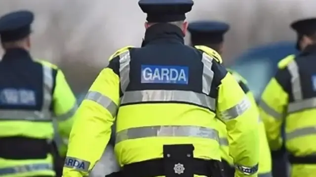 Полицейские Ирландии