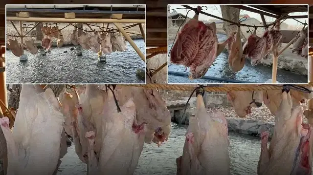 Kilosu 2 bin liradan satılıyor: Kış sofralarının vazgeçilmezi! 15 ila 30 gün arasında kurutuluyor