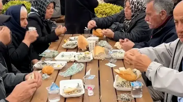 Ordu'daki festivalde 7 ton hamsi vatandaşa ikram edildi