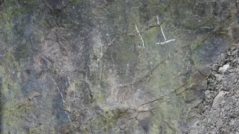 Araştırmacılar, izlerin yaklaşık 200 milyon yıl öncesine ait olduğunu düşünüyor.