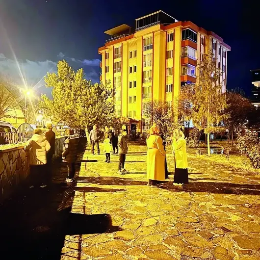 Van 4.6 ile sallandı