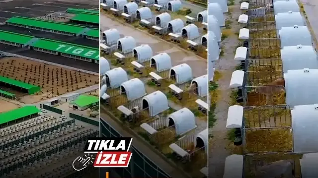 Tarım ve Orman Bakanlığı paylaştı: Başka bir ülke değil kendi üretim üssümüzden