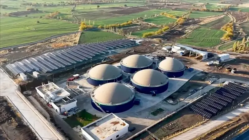 61 modern besi işletmesi 855 dekar üretim alanında kurulacak.