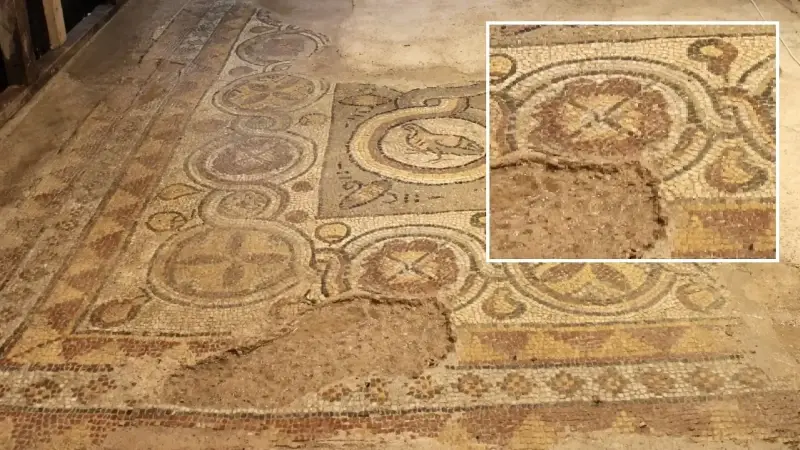 Sinop'ta 1600 yıllık mozaikler oluşturulacak ziyaretçi merkezinde sergilenecek.