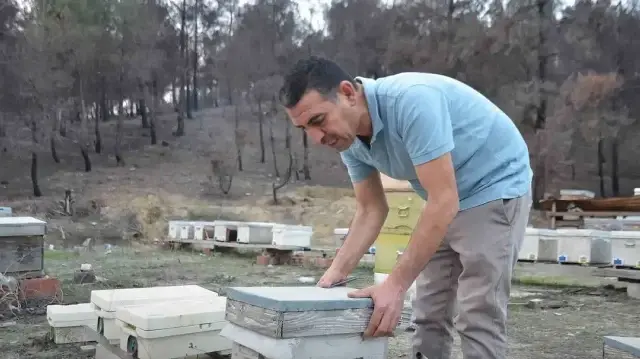 15 yıl önce hobi olarak başladı şimdi Türkiye'nin her yerine gönderiyor: Sayıyı 200'e çıkardı