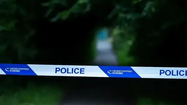 گارجین کے مطابق دونوں لڑکوں نے اس سے قبل ہونے والی ایک سماعت میں ریپ کے جرم کا اعتراف کیا تھا۔