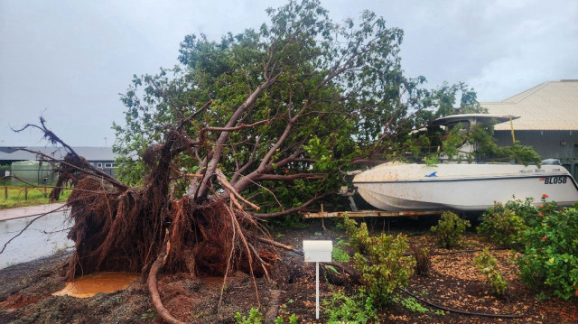 Un arbre déraciné lorsque le cyclone Zelia a touché terre dans la banlieue de Port Headland, en Australie occidentale, le 14 février 2025.