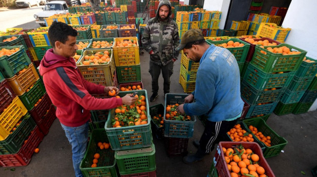 Des personnes trient des oranges à Menzel Bou Zelfa, dans la région de Nabul, au nord-est de la Tunisie, le 25 janvier 2025.