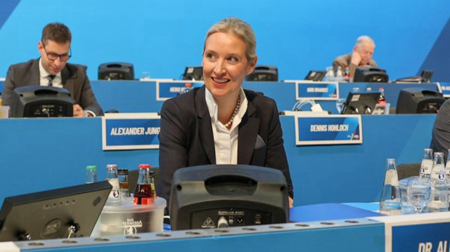 Alice Weidel, leader de l'AfD, est docteur en économie et ancienne banquière chez Goldman Sachs, âgée de 45 ans.