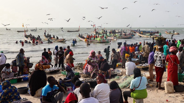 La pêche intensive en Afrique de l'Ouest menace la biodiversité marine et les moyens de subsistance des communautés locales, le 25 février 2025.
