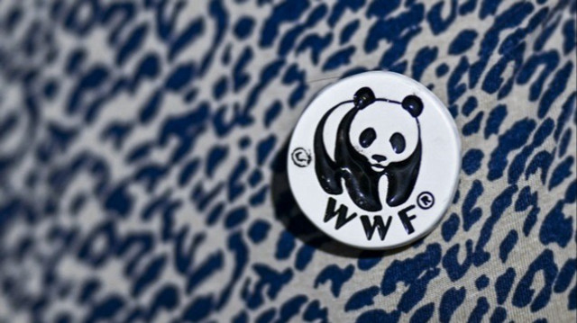WWF fait appel après avoir été déboutée sur l'extraction minière sous-marine en Norvège, le 25 février 2025.