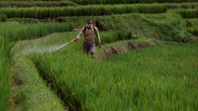 En 2022, la consommation mondiale de pesticides a augmenté de 4 %, portée par l'Amérique, tandis que l'Europe et l'Asie amorcent une baisse.