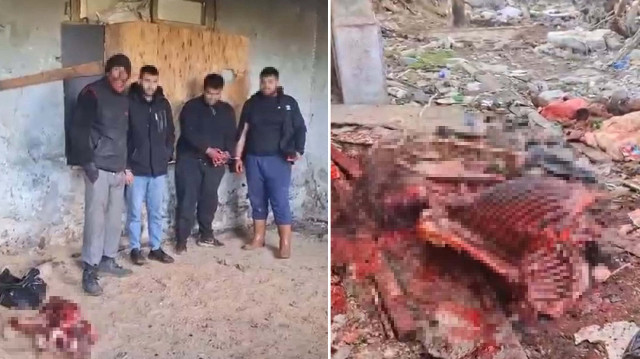 İzmir'de ramazan ayında piyasaya sürülmek üzere yapılan at kesimi yapanlar suçüstü yakalandı.