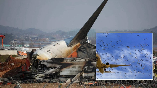 Pilot, kulenin yaptığı kuş çarpması uyarısından sonra acil iniş izni istediği ve iniş takımları kapalı şekilde gövde üzerine iniş yaptığını açıklamıştı.