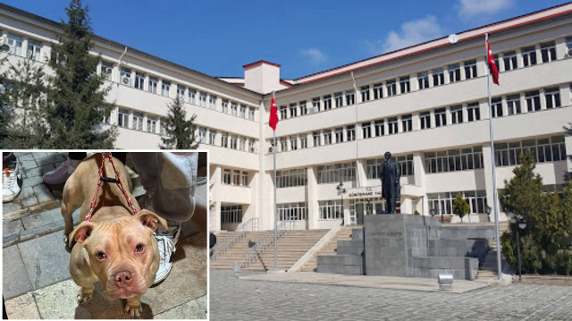 Gümüşhane Valiliği'nden açıklama yapıldı.