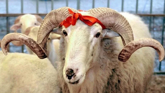 Kurban Bayramı