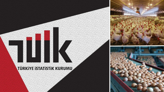 Ocakta tavuk eti üretiminde artış görüldü.