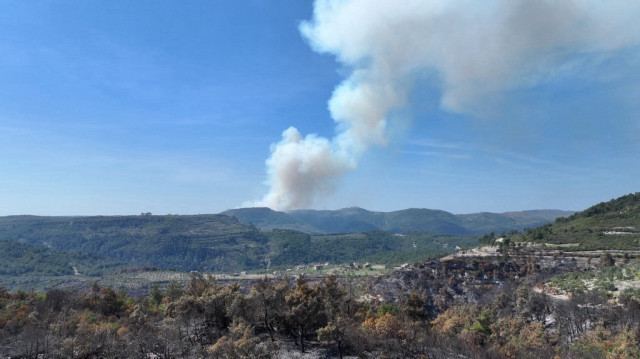 De la fumée s'élève alors qu'un incendie brûle une zone forestière dans la province syrienne de Latakia, le 12 mars 2025.