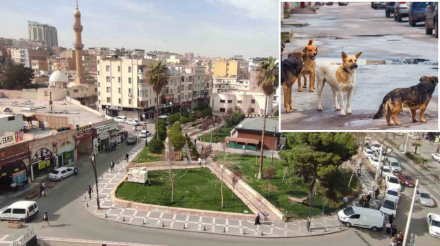 Şanlıurfa Valiliği