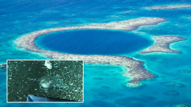 Çinli bilim insanları, Mariana Çukuru'nda çalışan basınca dayanıklı küçük bir robot geliştirdi.