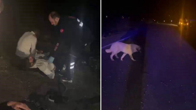 Elazığ'da meydana gelen kazada beş kişi yaralandı.