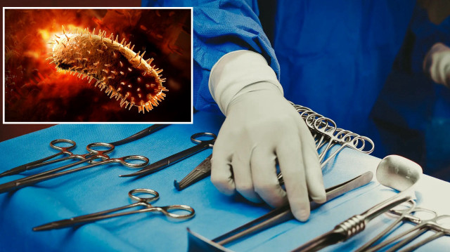 Organ nakli sonrası ölen kişide kuduz hastalığı tespit edildi.