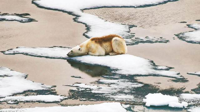 Ulusal Kar ve Buz Veri Merkezi, cumartesi günü yapılan en yüksek ölçümün 14,33 milyon kilometrekare olduğunu ve bunun 2017'deki bir önceki en düşük zirveden yaklaşık 80.000 kilometrekare daha küçük olduğunu belirtti.