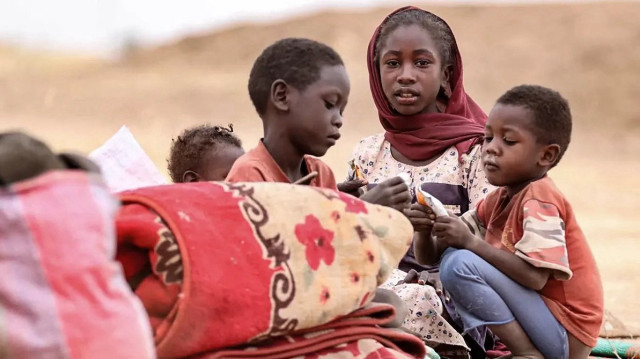 Depuis avril 2023, l'armée soudanaise et les forces de soutien rapide sont engagées dans un conflit meurtrier qui a fait plus de 20 000 victimes, tandis que près de 15 millions de personnes ont été déplacées ou sont devenues réfugiées, selon les Nations unies et les autorités locales.