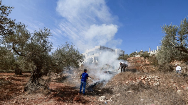 Des agriculteurs palestiniens et des activistes étrangers tentent d'éteindre un incendie provoqué par les gaz lacrymogènes lancés par les soldats israéliens.