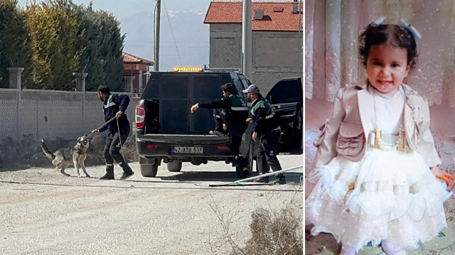 Ekipler bölgede sahipsiz köpekleri toplama çalışmalarını sürdürdü.