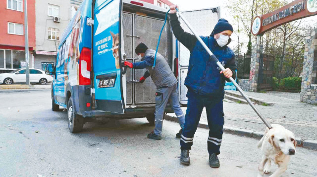 Fotoğraf: Arşiv