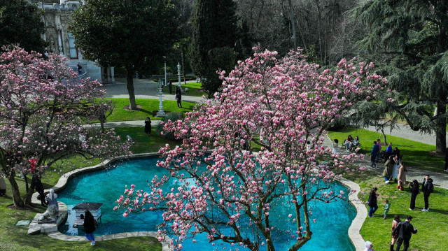 <p>يتزين "قصر إهلامور" التاريخي بمدينة إسطنبول بألوان الربيع مع تفتح أزهار أشجار الماغنوليا التي تضفي لمسة ساحرة على حدائقه.</p><p><br></p><p><br></p>