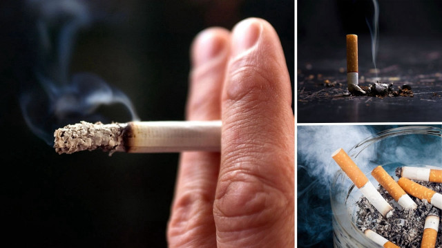 <p>Sigara kullanımının erkeklerde azalırken kadınlarda arttığı kaydedildi.</p>