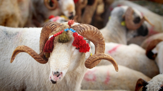 Kurban Bayramı'nın 1. günü 6 Haziran tarihinde idrak edilecek.