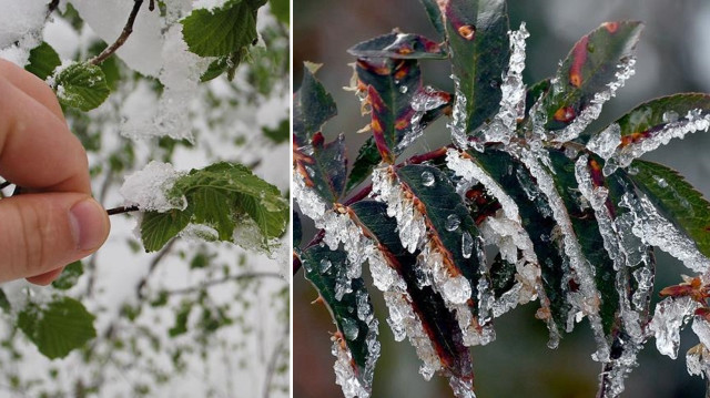 Meteoroloji 15. Bölge Müdürlüğü, soğuk havanın 16 Nisan Çarşamba gününe kadar etkili olacağı tahmin ediliyor. 