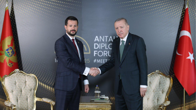 Cumhurbaşkanı Recep Tayyip Erdoğan, Karadağ Cumhurbaşkanı Jakov Milatovic ile görüştü.