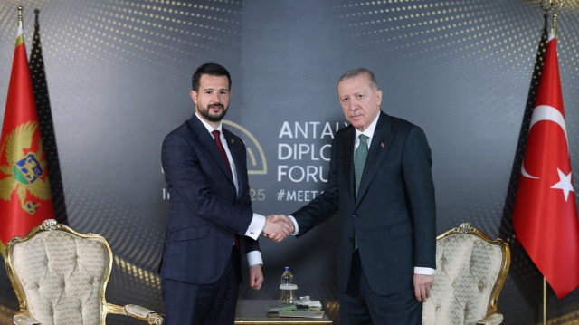 Erdogan et Milatovic abordent l'avenir des relations Türkiye-Monténégro