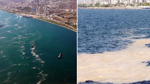 Marmara Denizi'nde müsilaj