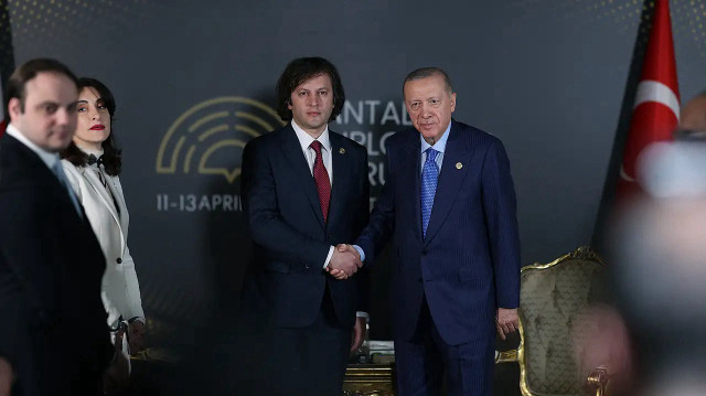 أردوغان يبحث مع رئيس وزراء جورجيا قضايا إقليمية وعالمية