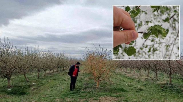 Foto: Arşiv.